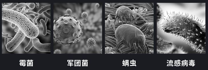 細菌病毒